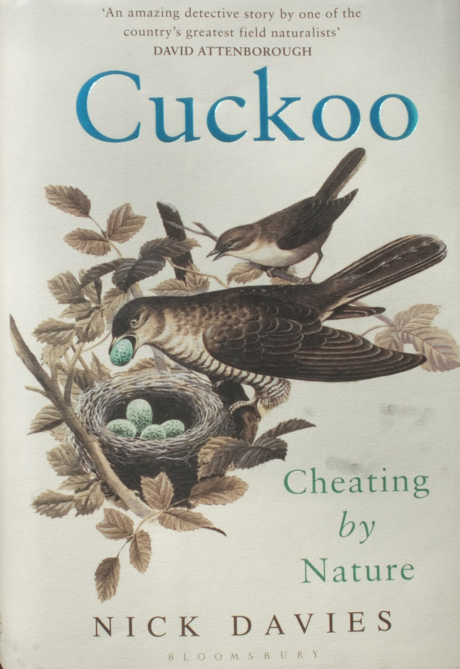 Cuckoo Cheating By Nature A Dartmoor Blog