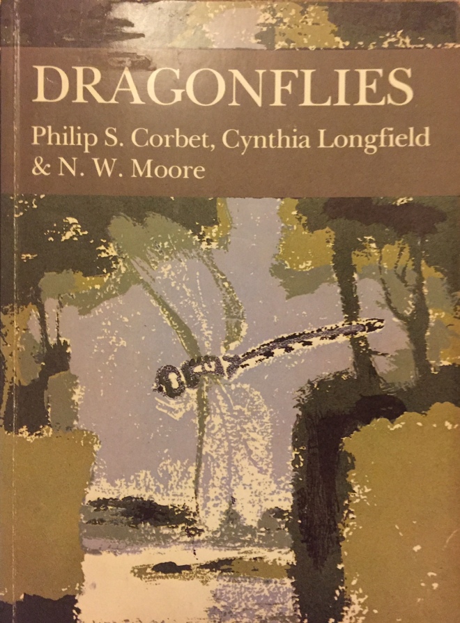 Dragonflies NM