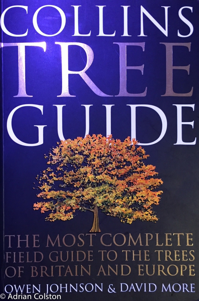 Collins tree guide